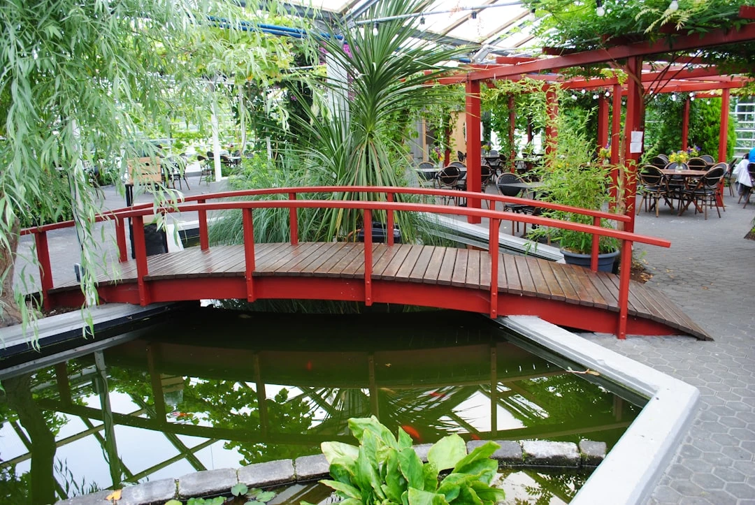 Hình ảnh spa tại Việt Nam với yếu tố tự nhiên, biểu tượng của tự chăm sóc bản thân.