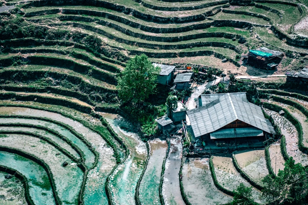 cau-noi-truyen-cam-hung-cua-donald-trump-duoi-goc-nhin-cua-gia-minh